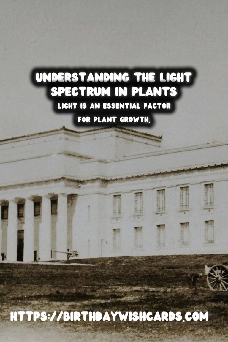 Understanding the Plant Light Spectrum: A Complete Guide
