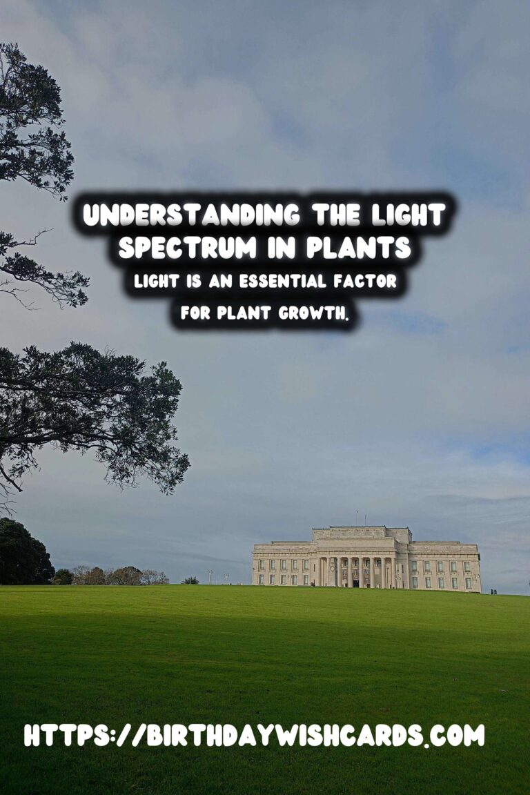 Understanding the Plant Light Spectrum: A Complete Guide