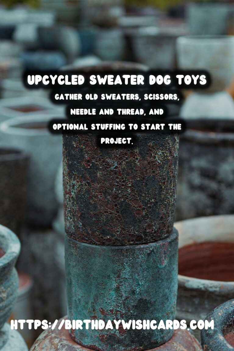 Upcycled Old Sweaters into Dog Toys: A Creative Guide