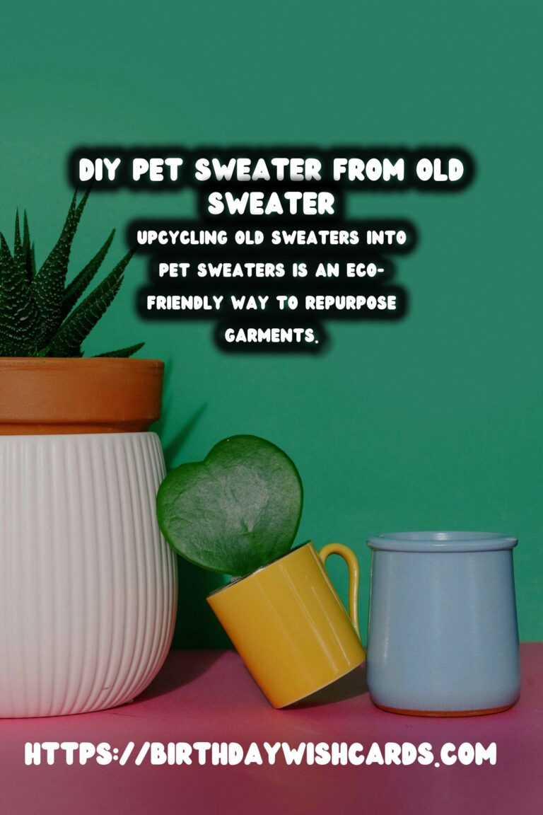 Upcycling Old Sweaters into Stylish Pet Sweaters: A Creative Guide