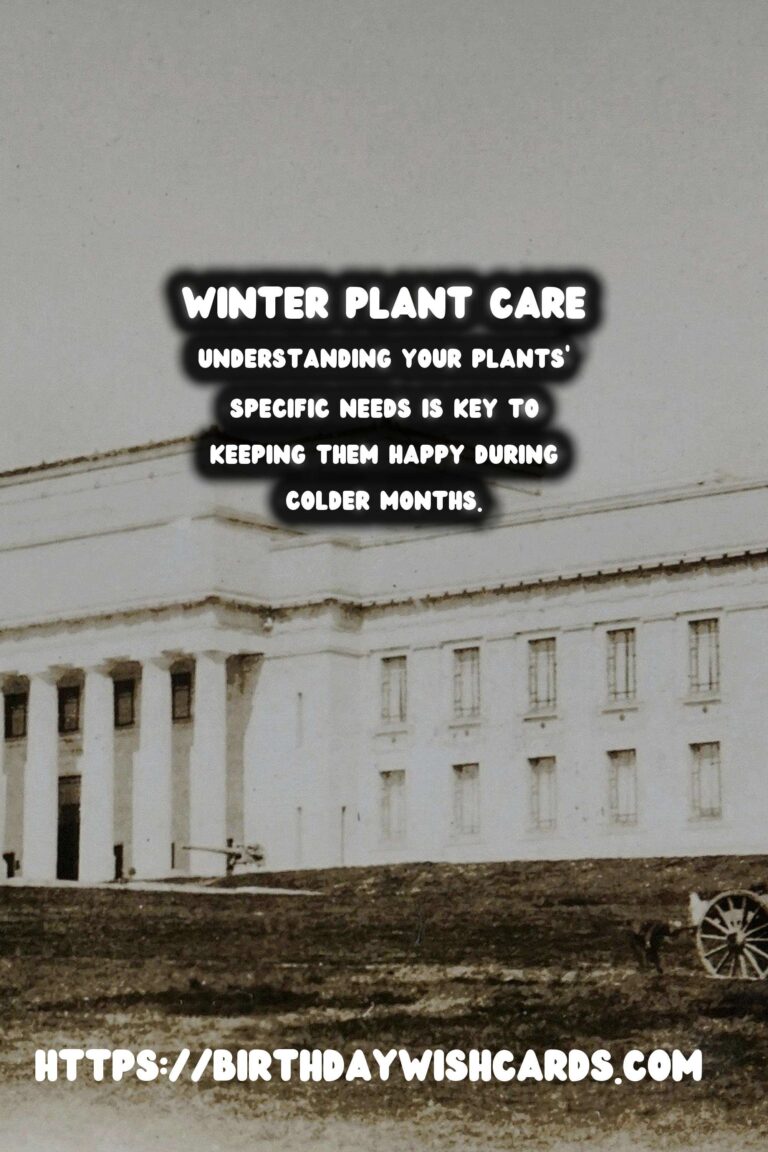 Winter Plant Care: Keeping Your Houseplants Happy