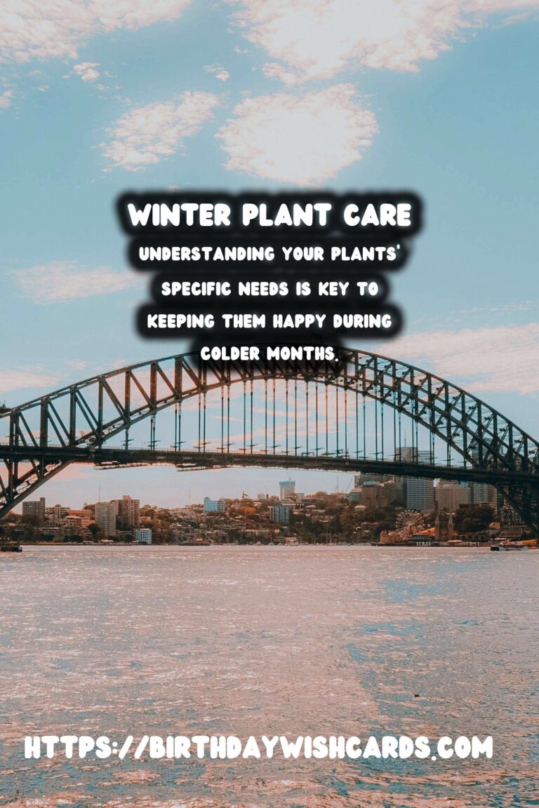 Winter Plant Care: Keeping Your Houseplants Happy