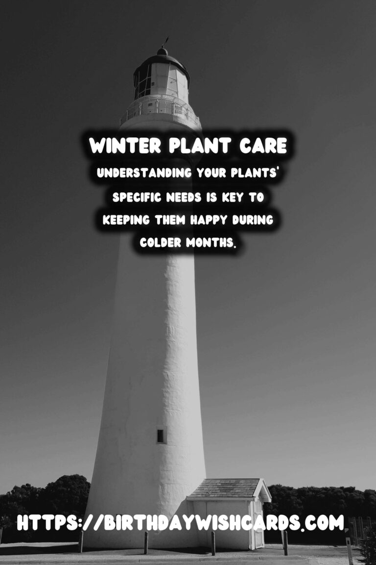 Winter Plant Care: Keeping Your Houseplants Happy
