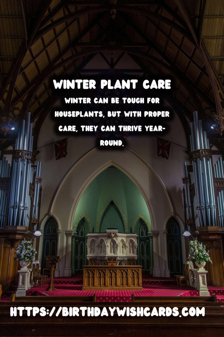Winter Plant Care: Keeping Your Houseplants Happy