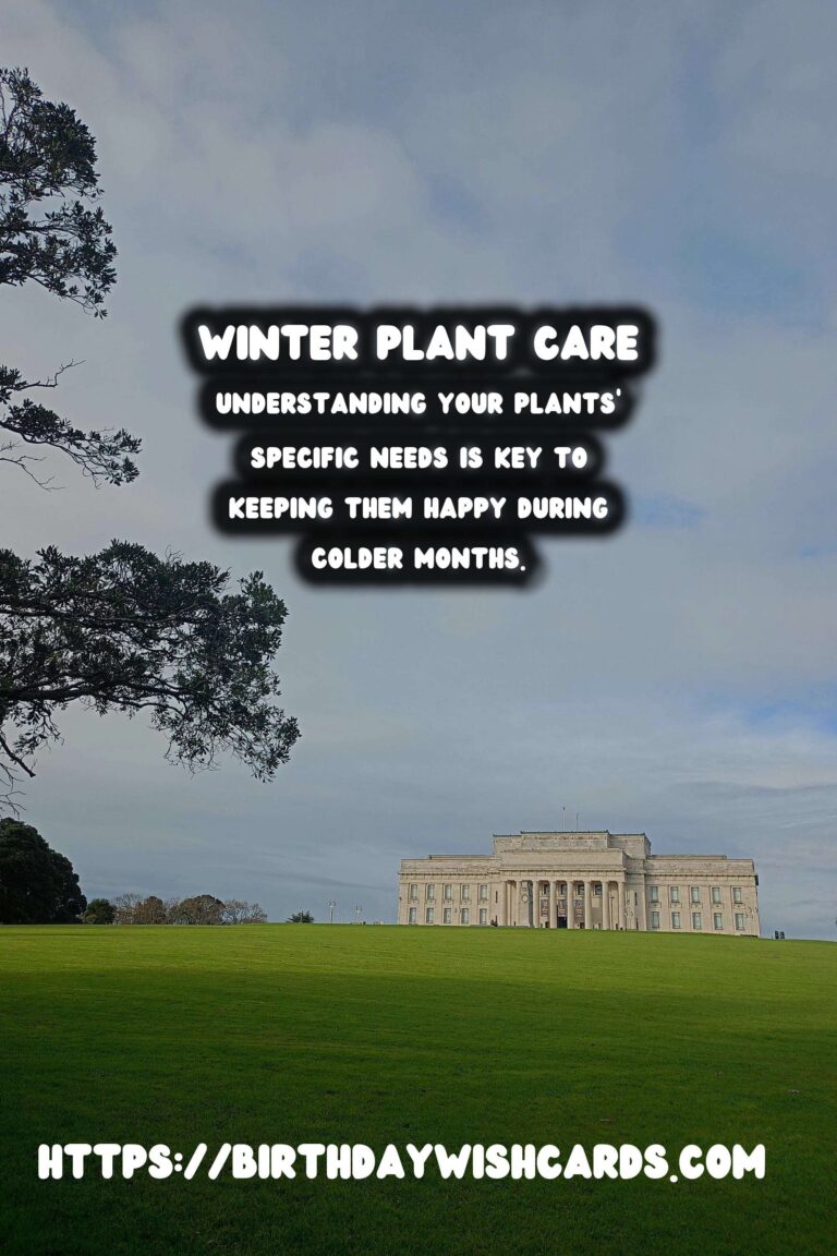 Winter Plant Care: Keeping Your Houseplants Happy