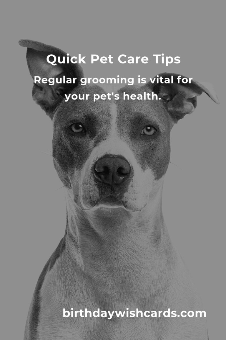 5 Essential Tips for Quick and Efficient Pet Care