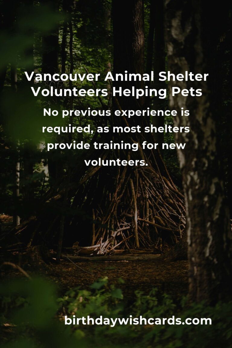 Best Animal Shelter Volunteer Programs in Vancouver: A Complete Guide
