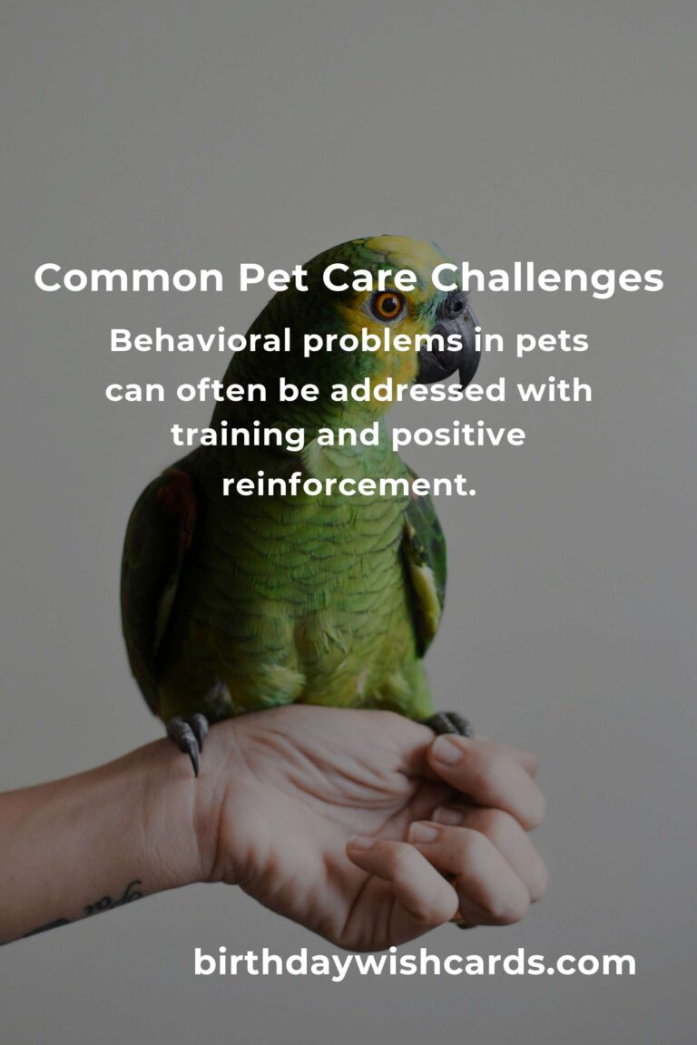 Effective Solutions for Common Pet Care Problems