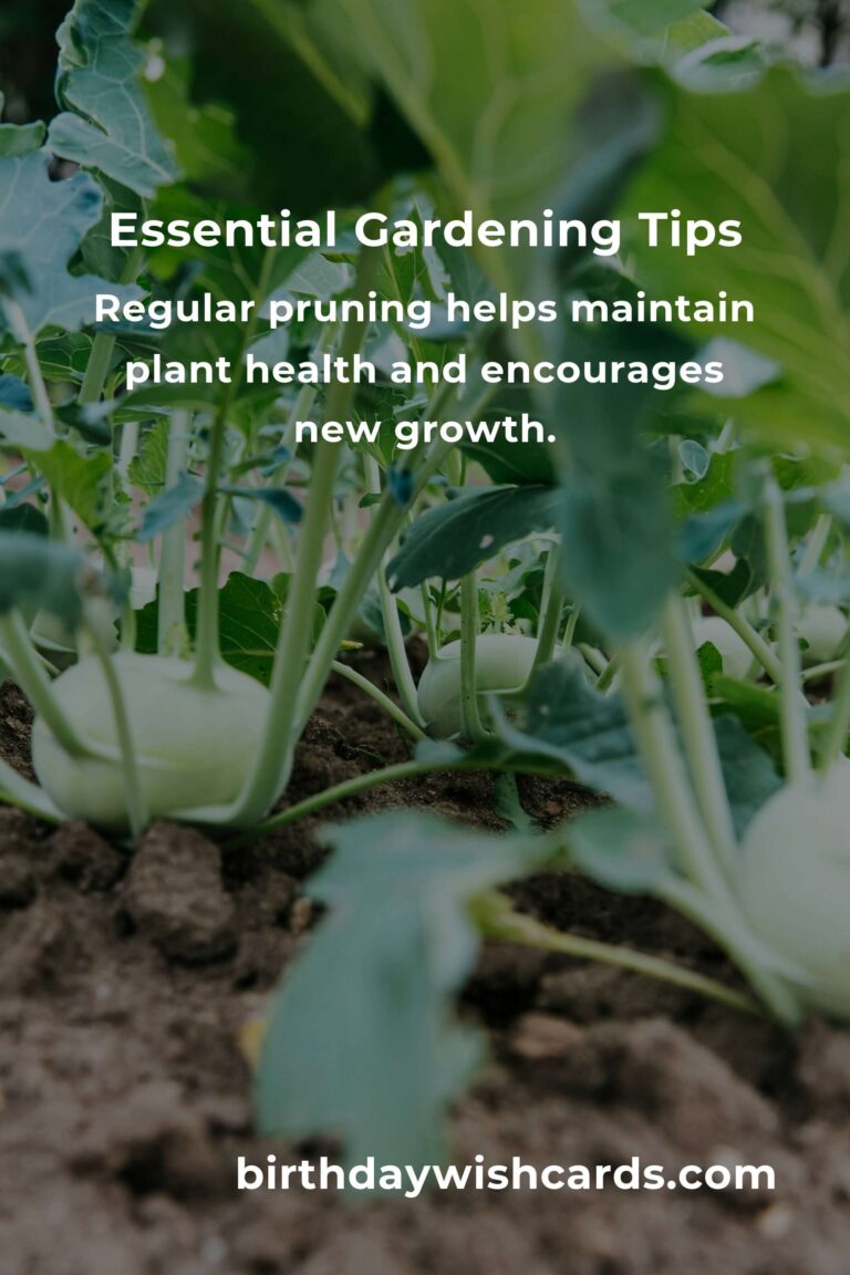 Mastering the Basics: 9 Essential Gardening Tips for Beginner Gardeners