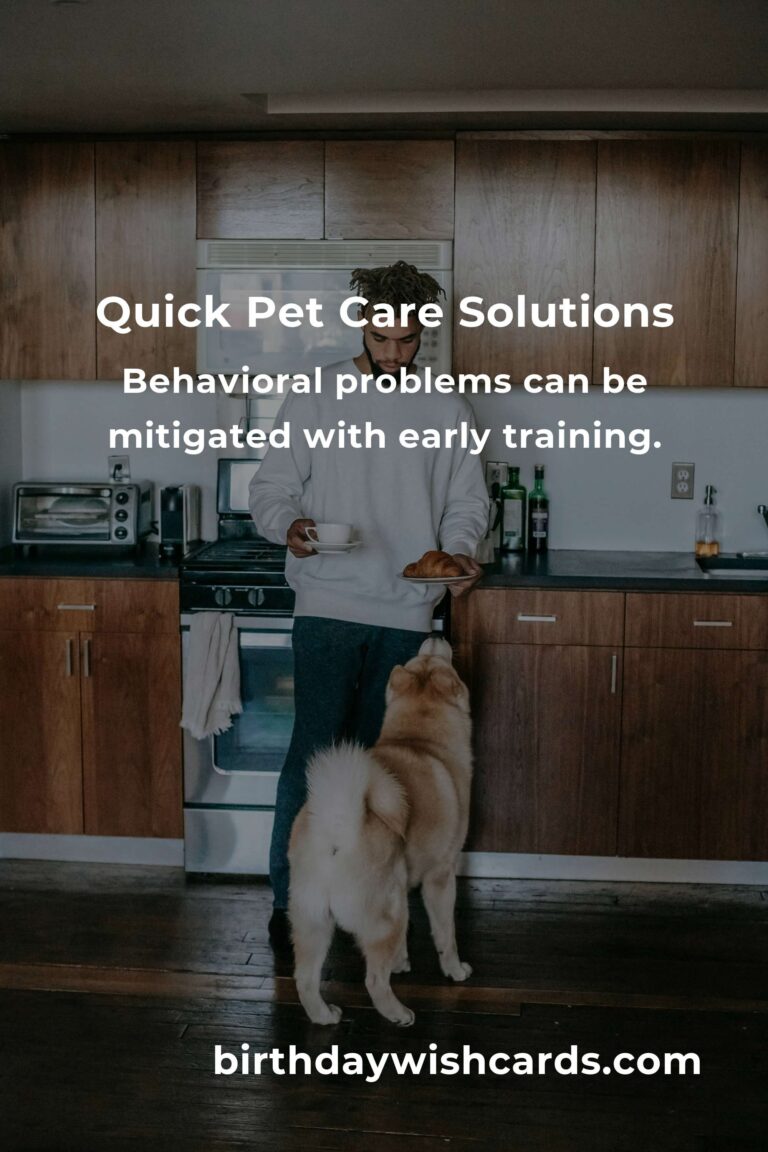 Solving Common Quick Pet Care Problems: Tips for Busy Pet Owners
