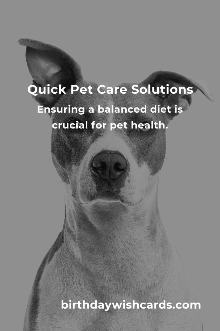 Solving Common Quick Pet Care Problems: Tips for Busy Pet Owners