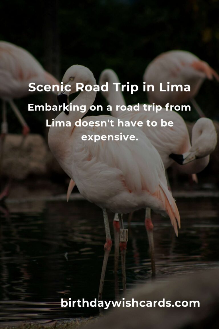 Ultimate Budget Guide to Road Trip Routes in Lima
