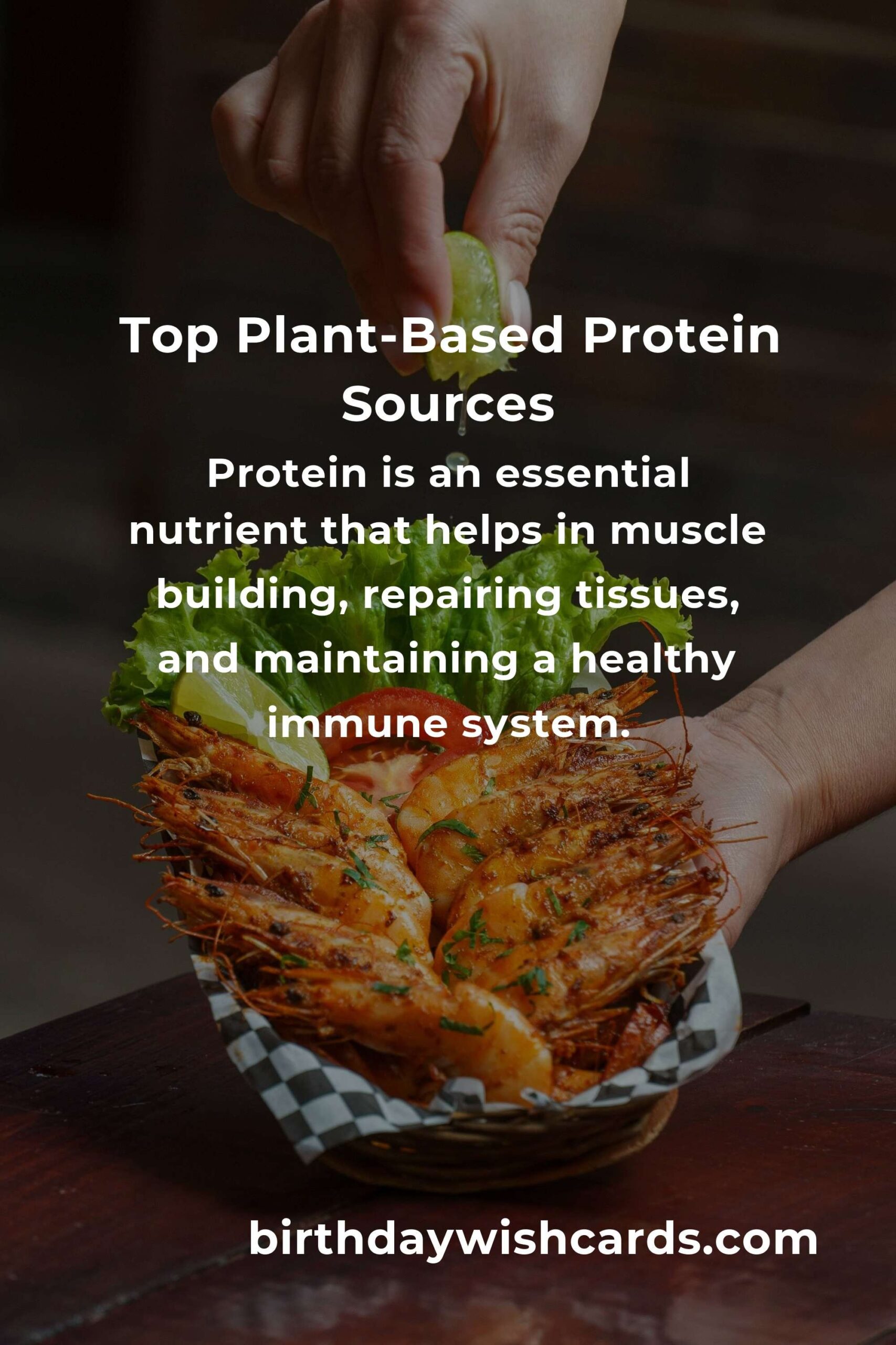 10 Best Healthy Plant-Based Protein Sources for Students