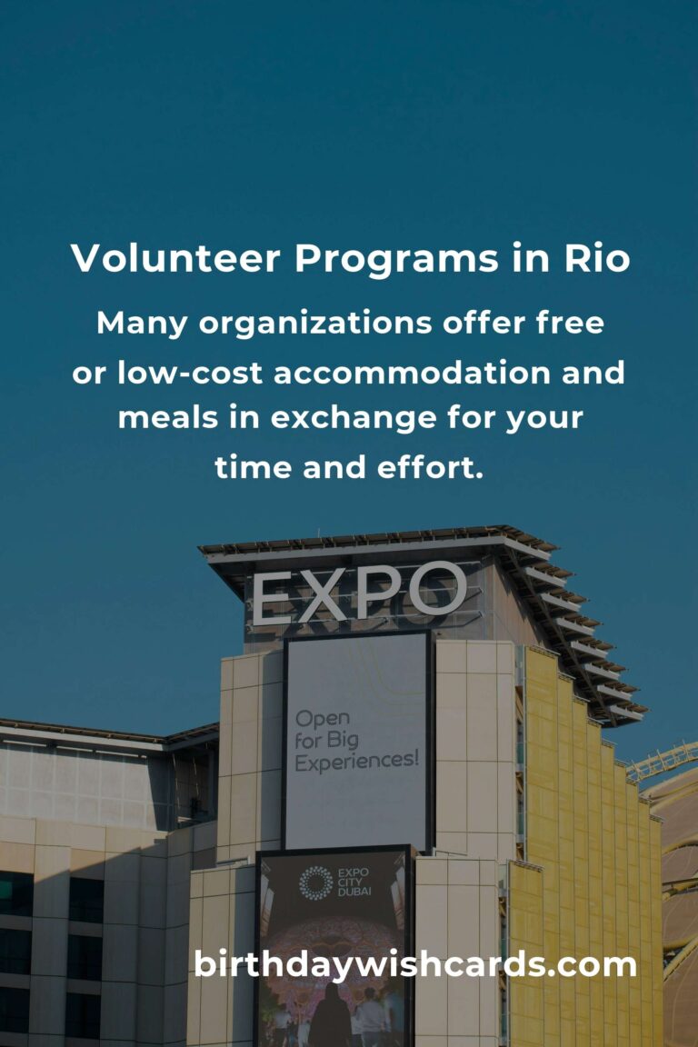 Affordable Volunteer Opportunities for Budget Travelers in Rio de Janeiro