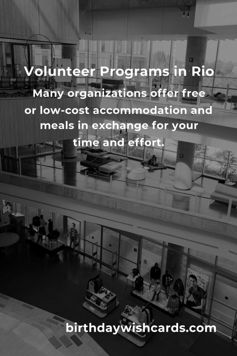 Affordable Volunteer Opportunities for Budget Travelers in Rio de Janeiro