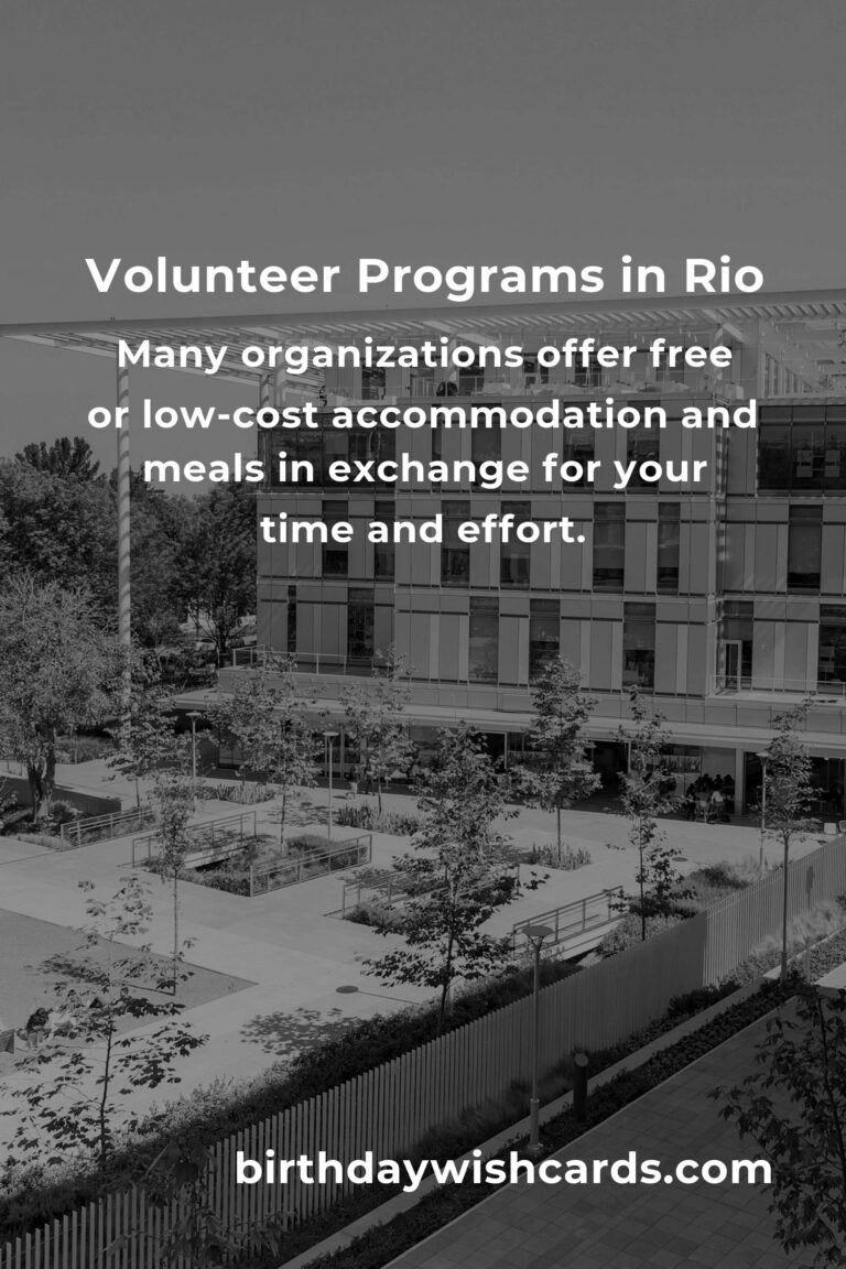 Affordable Volunteer Opportunities for Budget Travelers in Rio de Janeiro