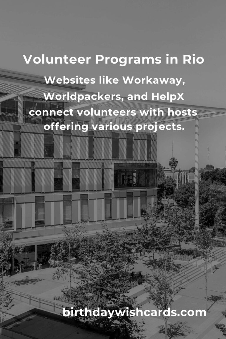 Affordable Volunteer Opportunities for Budget Travelers in Rio de Janeiro