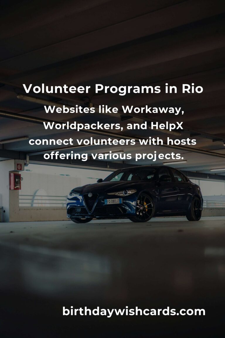 Affordable Volunteer Opportunities for Budget Travelers in Rio de Janeiro
