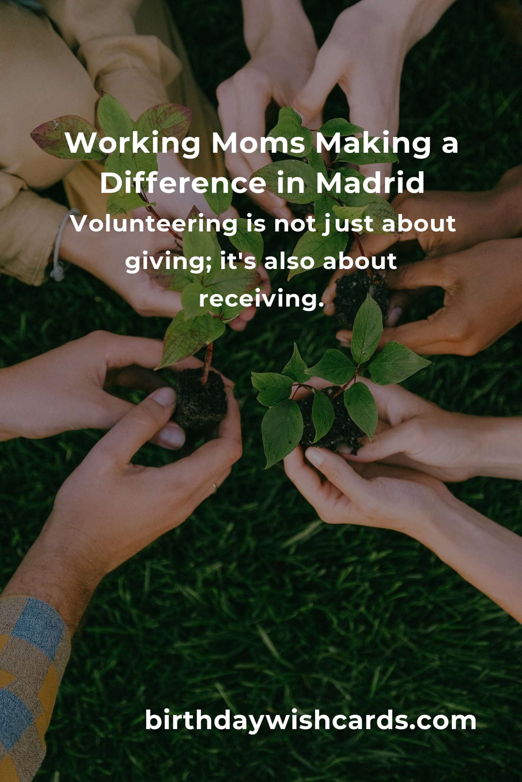 Balancing Acts: Heartfelt Volunteer Opportunities for Busy Working Moms in Madrid