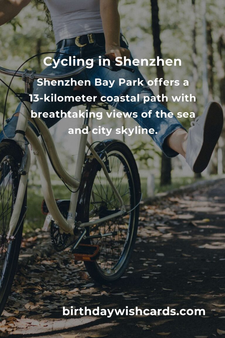Beginner's Guide to Cycling in Shenzhen: Exploring the City on Two Wheels