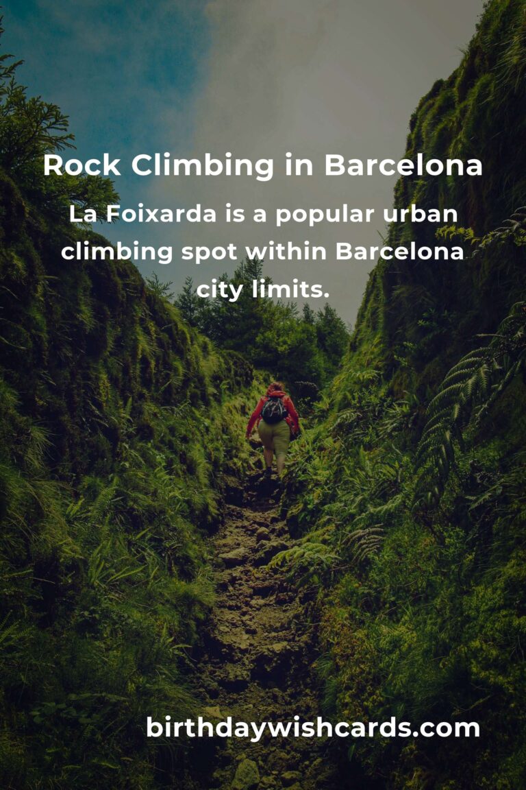 Beginner's Guide to Rock Climbing in Barcelona: Discover the Best Spots and Tips