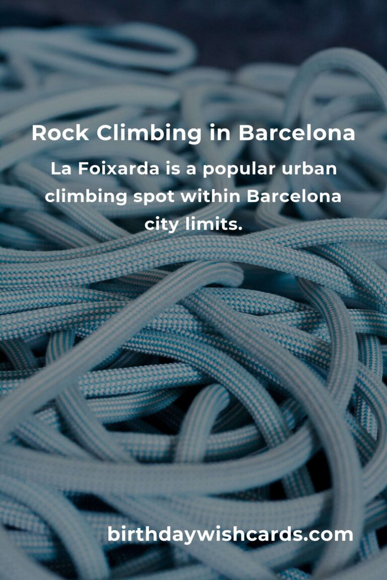 Beginner's Guide to Rock Climbing in Barcelona: Discover the Best Spots and Tips