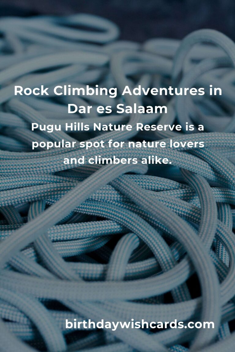Beginner's Guide to Rock Climbing in Dar es Salaam: Tips and Locations