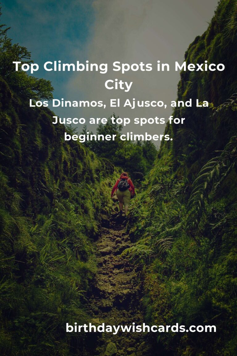 Beginner's Guide to Rock Climbing in Mexico City: Top Spots and Tips