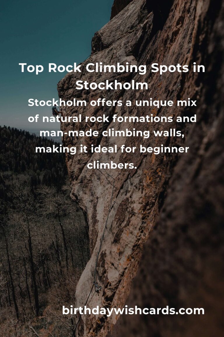 Beginner’s Guide to Rock Climbing in Stockholm: Top Spots and Tips