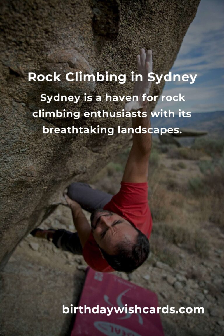 Beginner’s Guide to Rock Climbing in Sydney: Everything You Need to Know