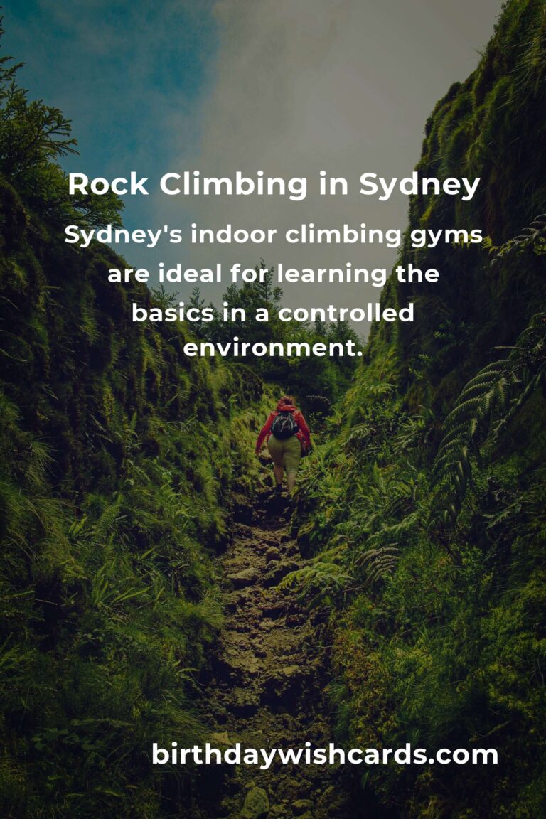 Beginner's Guide to Rock Climbing in Sydney: Everything You Need to Know