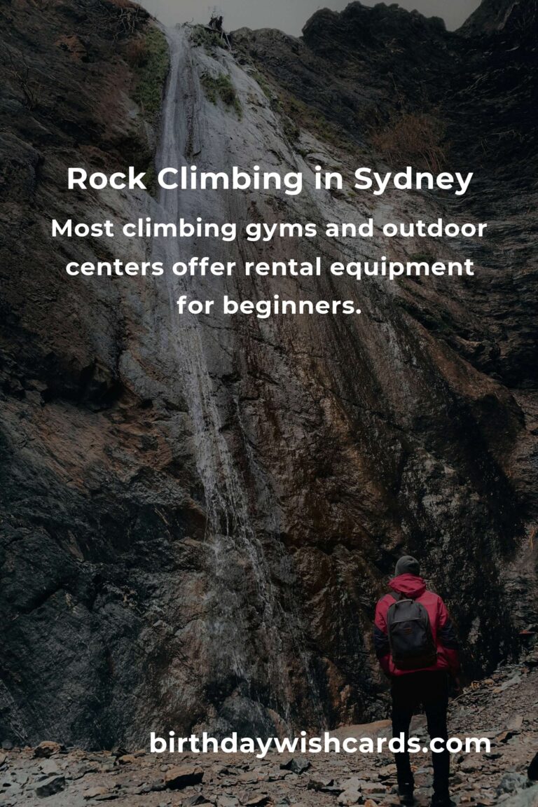 Beginner's Guide to Rock Climbing in Sydney: Everything You Need to Know