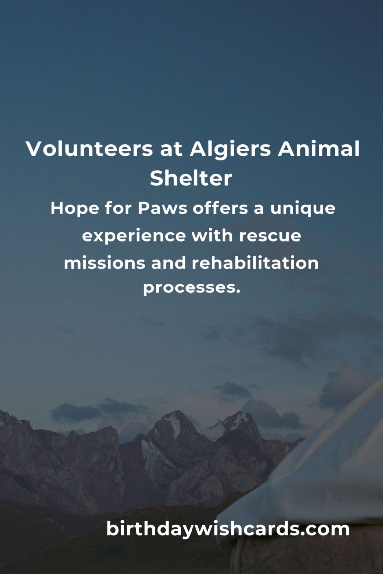 Best Animal Shelter Volunteer Programs in Algiers