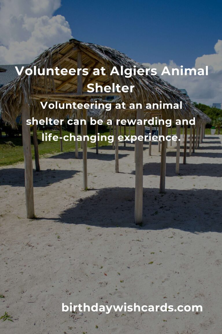 Best Animal Shelter Volunteer Programs in Algiers
