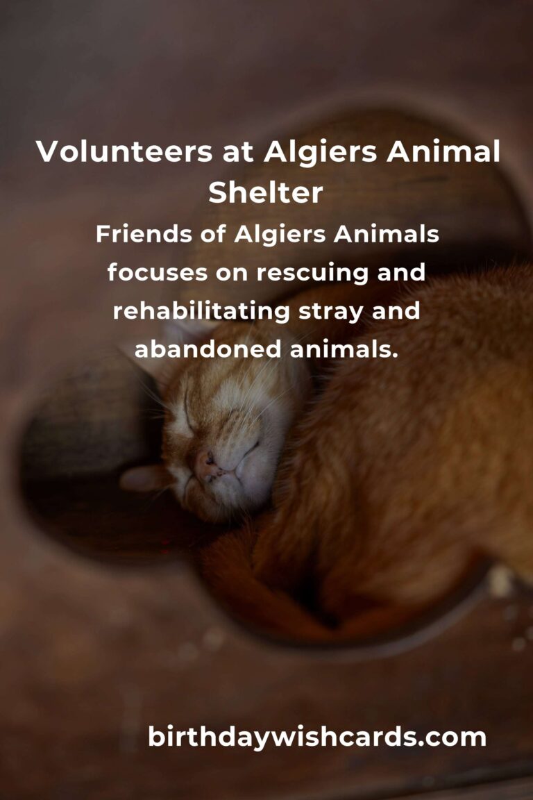 Best Animal Shelter Volunteer Programs in Algiers