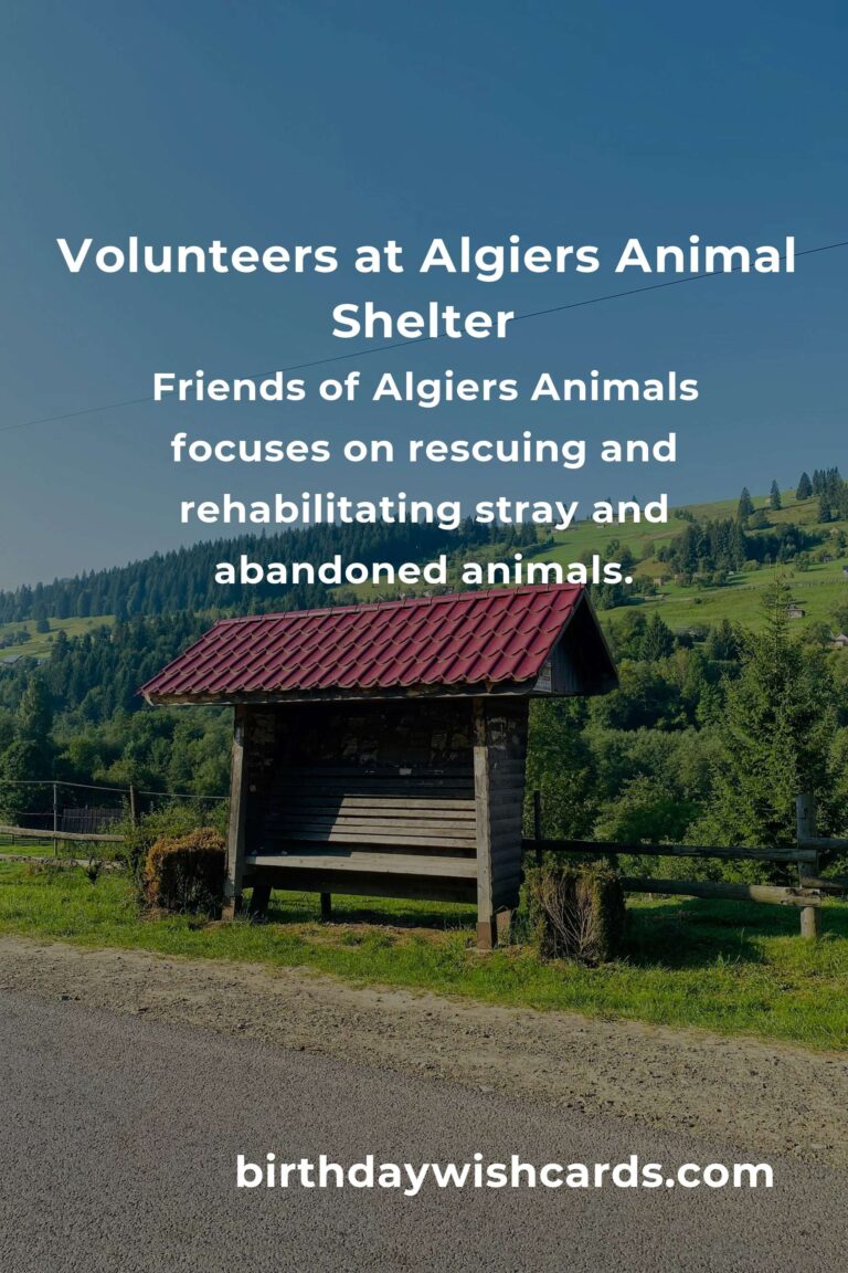 Best Animal Shelter Volunteer Programs in Algiers