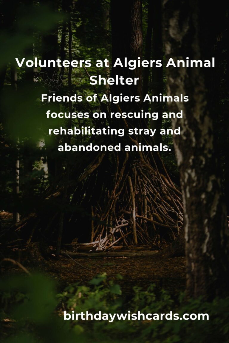 Best Animal Shelter Volunteer Programs in Algiers