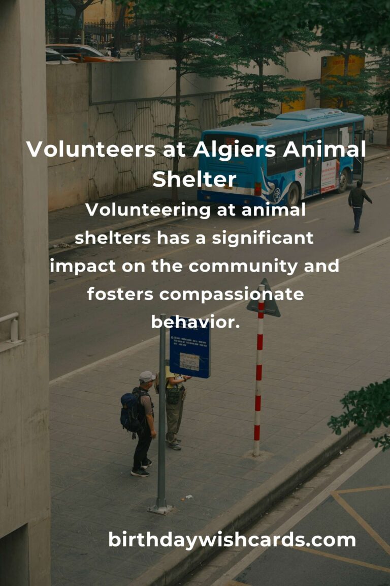 Best Animal Shelter Volunteer Programs in Algiers