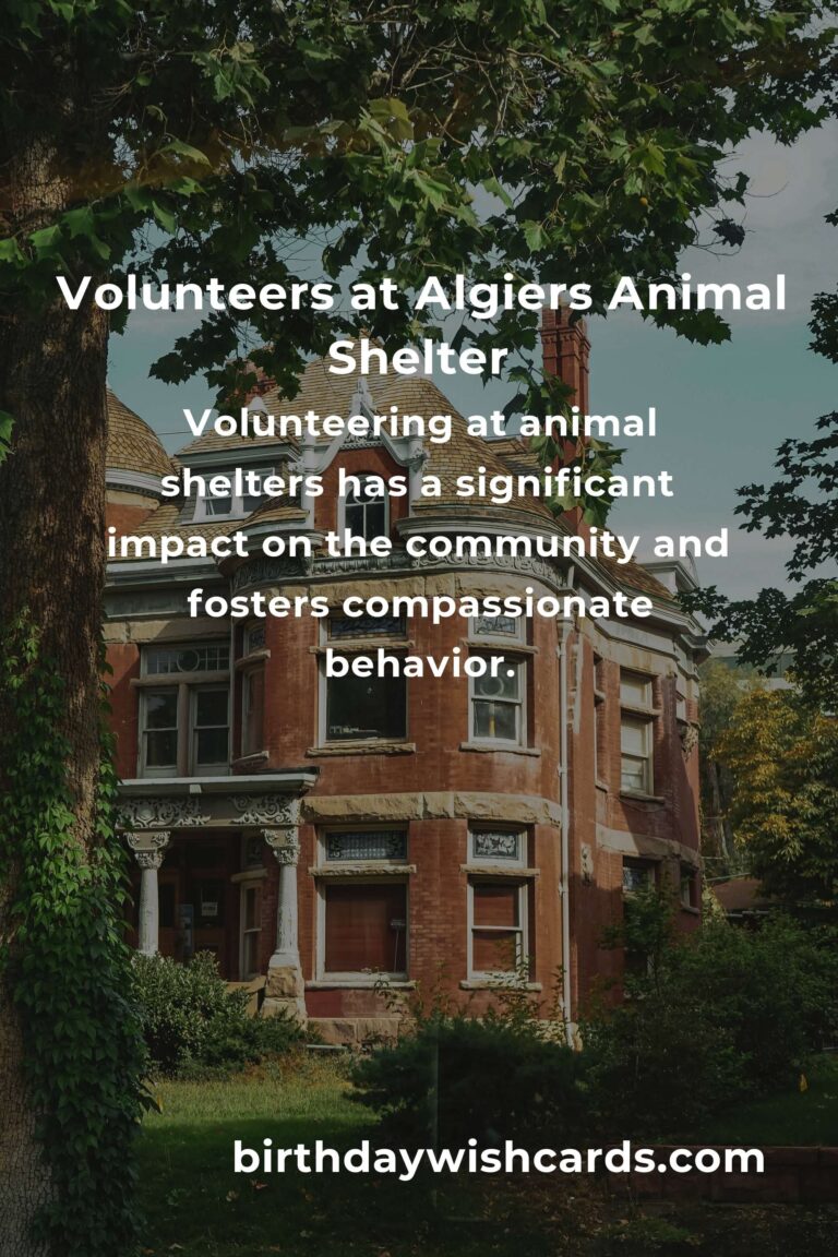 Best Animal Shelter Volunteer Programs in Algiers