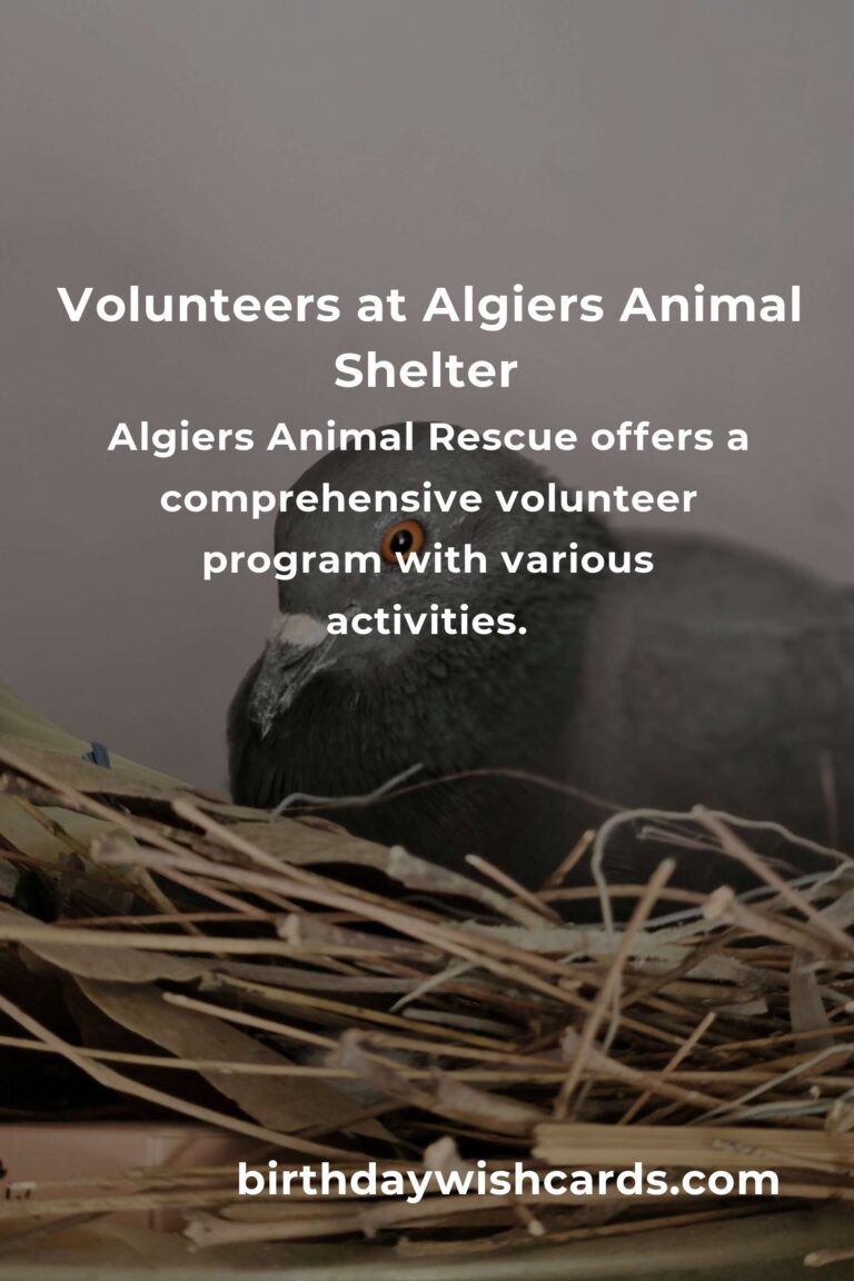 Best Animal Shelter Volunteer Programs in Algiers
