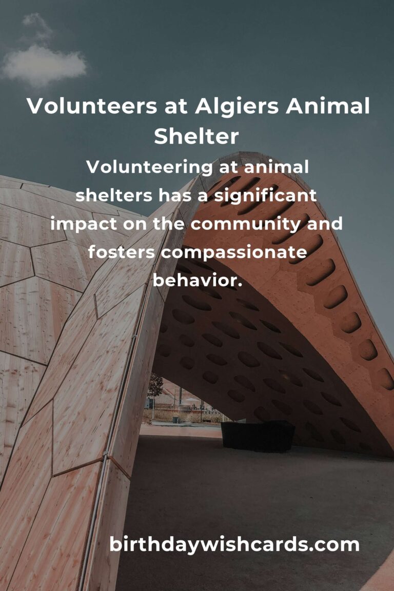 Best Animal Shelter Volunteer Programs in Algiers