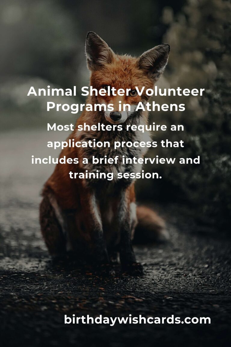 Best Animal Shelter Volunteer Programs in Athens: Make a Difference Today!