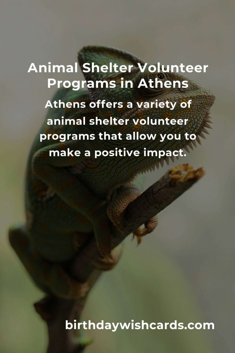Best Animal Shelter Volunteer Programs in Athens: Make a Difference Today!