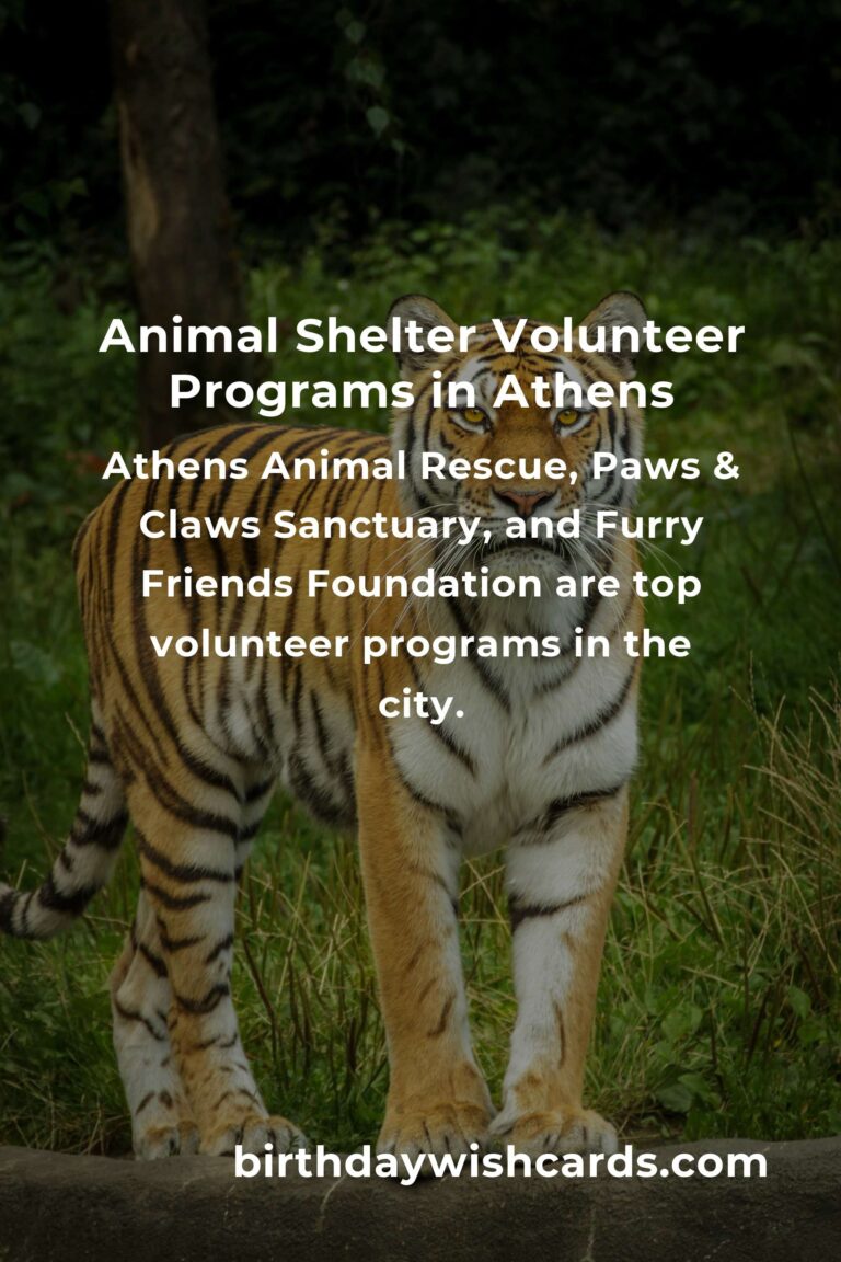 Best Animal Shelter Volunteer Programs in Athens: Make a Difference Today!