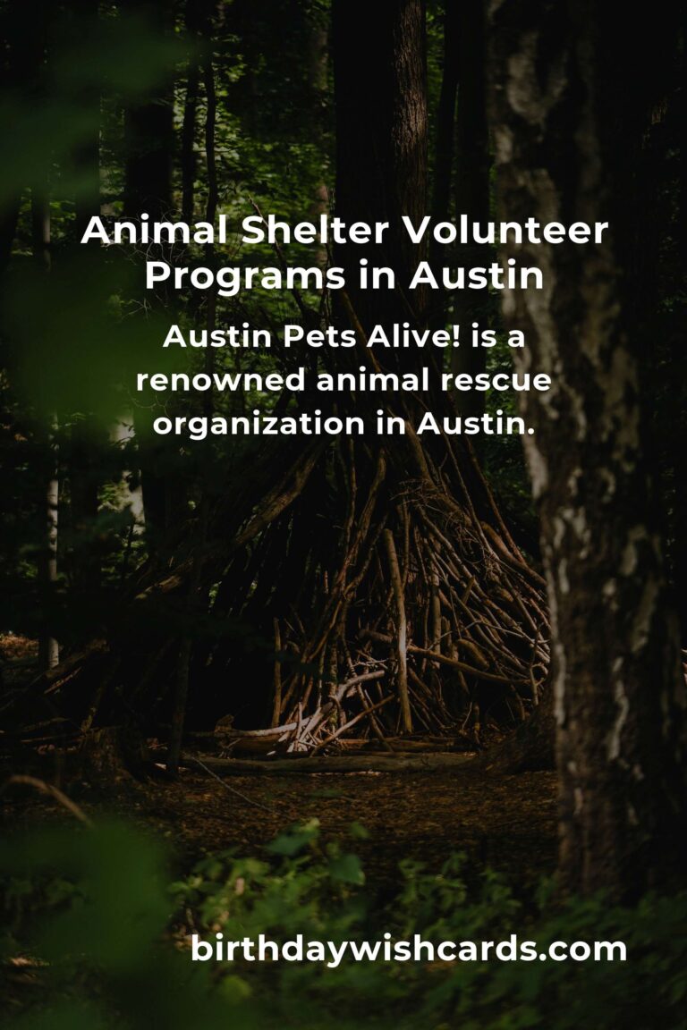 Best Animal Shelter Volunteer Programs in Austin