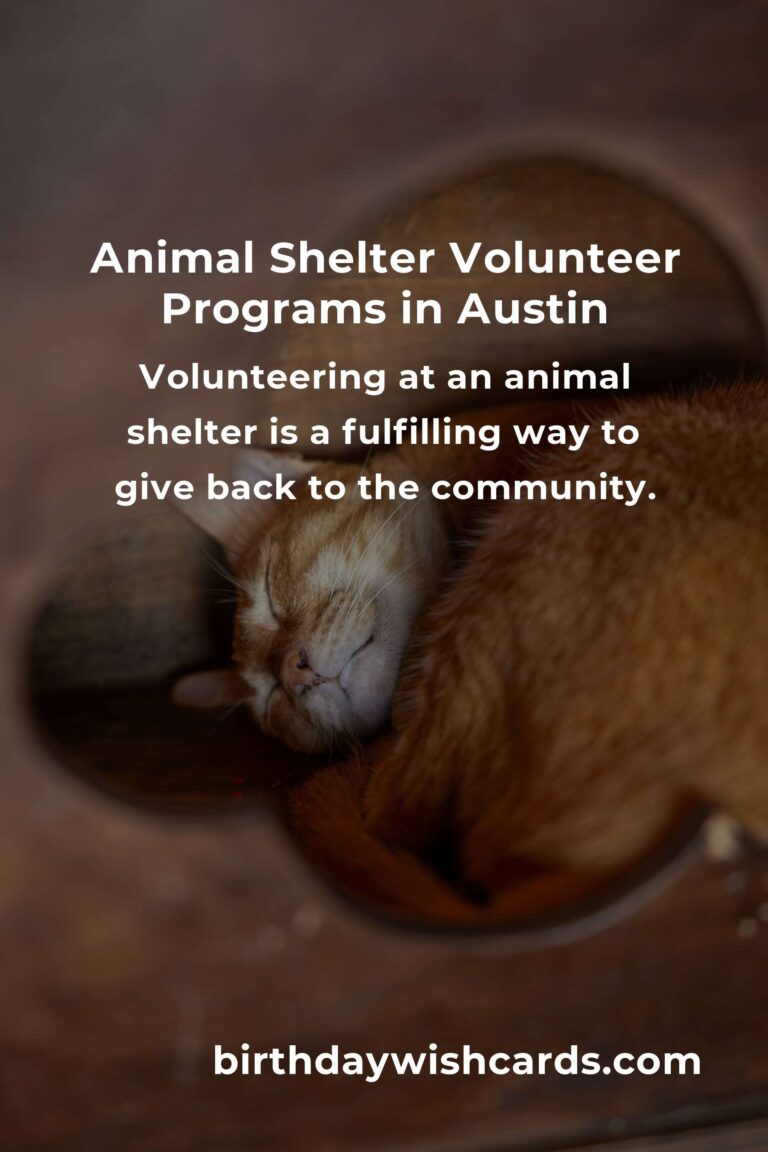 Best Animal Shelter Volunteer Programs in Austin