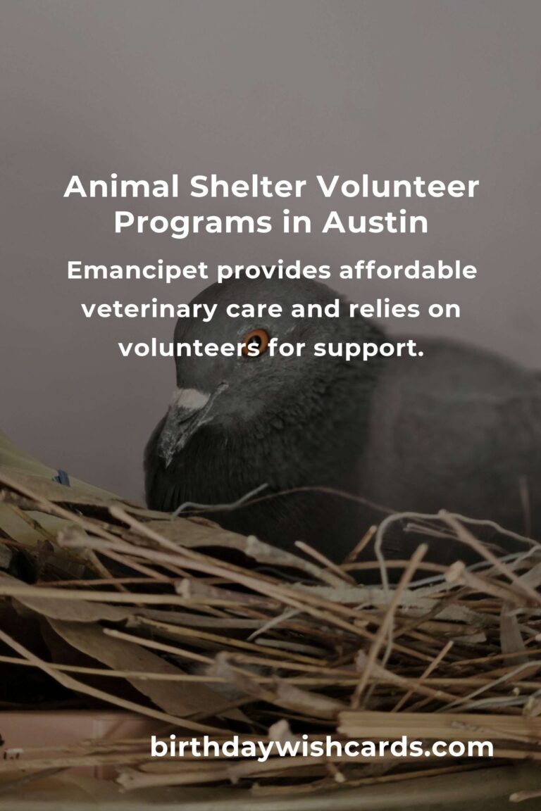 Best Animal Shelter Volunteer Programs in Austin