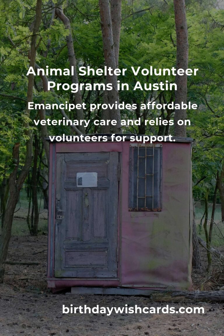 Best Animal Shelter Volunteer Programs in Austin