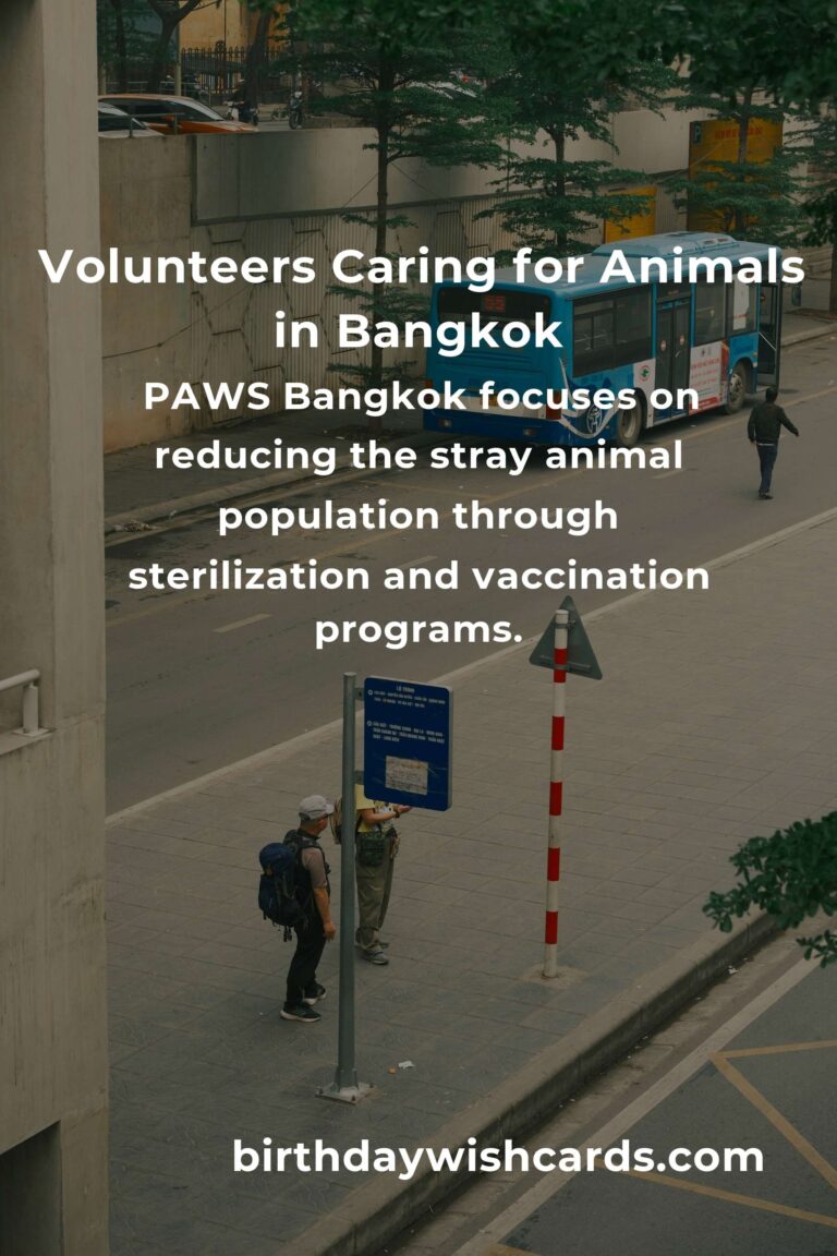 Best Animal Shelter Volunteer Programs in Bangkok for Compassionate Animal Lovers