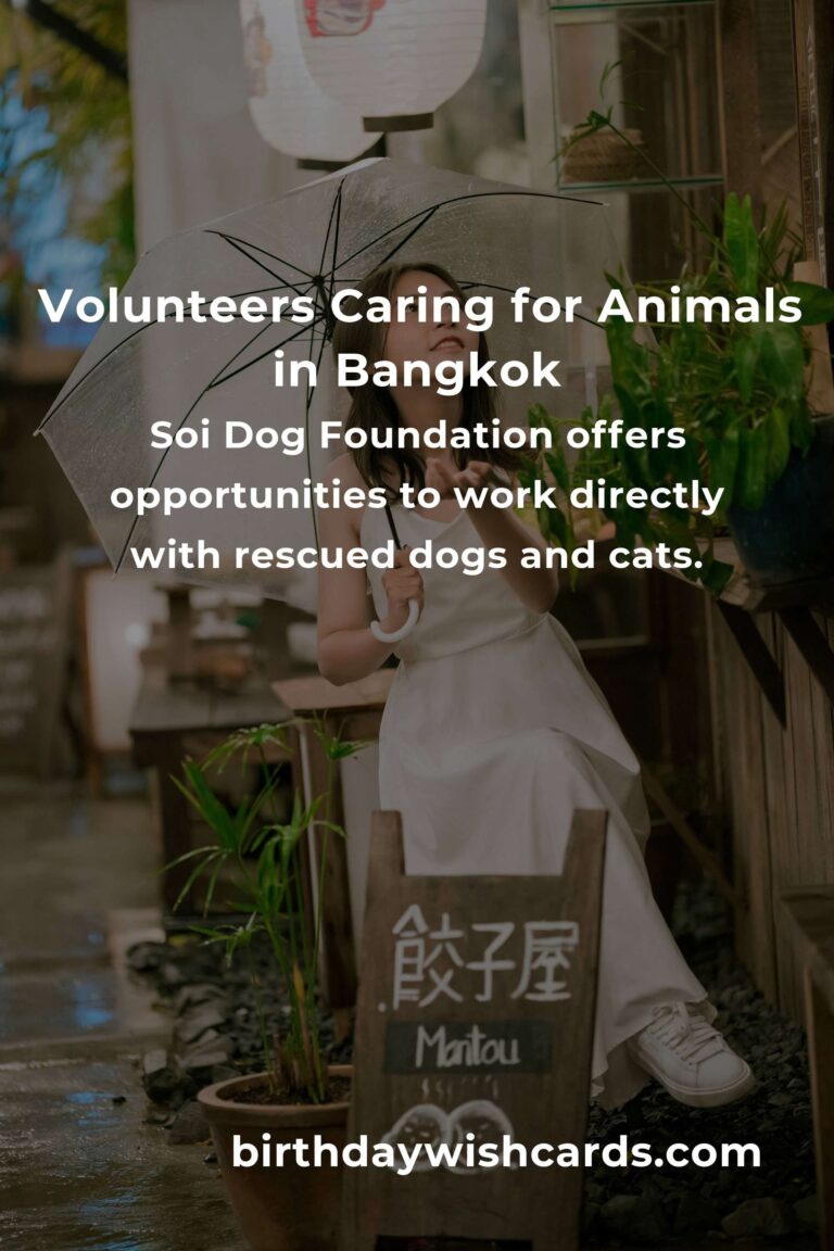 Best Animal Shelter Volunteer Programs in Bangkok for Compassionate Animal Lovers